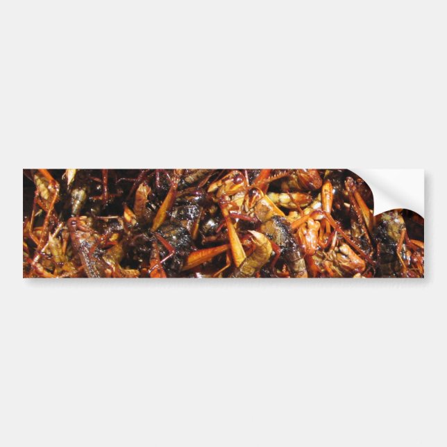 Asiatische Küche mit frittiertem Grasshopper (Takk Autoaufkleber (Vorne)