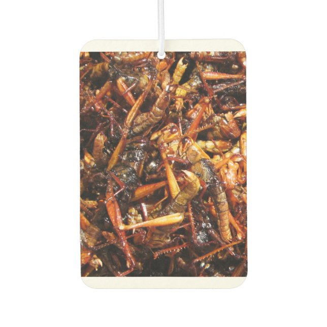 Asiatische Küche mit frittiertem Grasshopper (Takk Autolufterfrischer (Vorderseite)