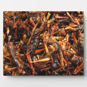 Asiatische Küche mit frittiertem Grasshopper (Takk Fotoplatte