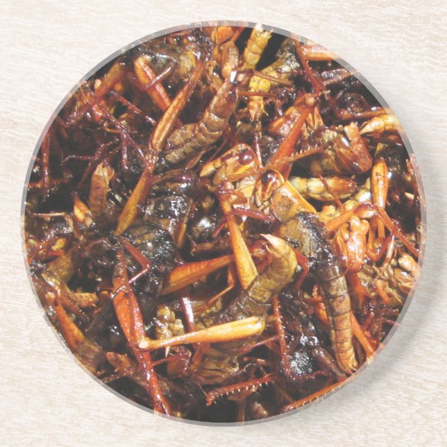 Asiatische Küche mit frittiertem Grasshopper (Takk Getränkeuntersetzer (Vorne)