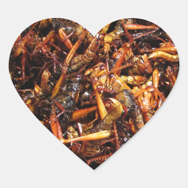Asiatische Küche mit frittiertem Grasshopper (Takk Herz-Aufkleber (Vorderseite)