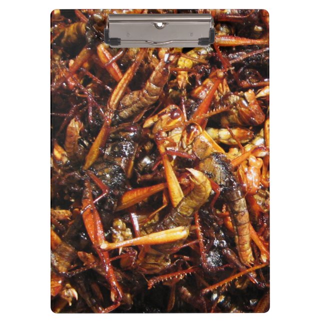 Asiatische Küche mit frittiertem Grasshopper (Takk Klemmbrett (Vorderseite)