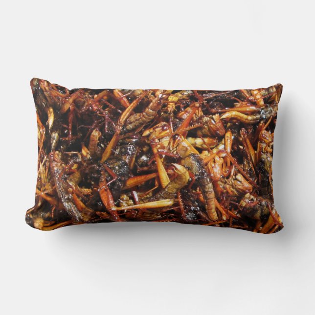 Asiatische Küche mit frittiertem Grasshopper (Takk Lendenkissen (Vorderseite)