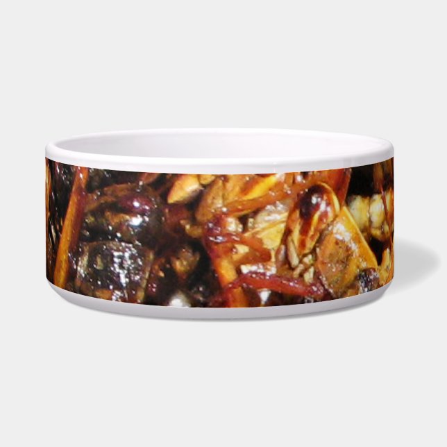Asiatische Küche mit frittiertem Grasshopper (Takk Napf (Vorderseite)