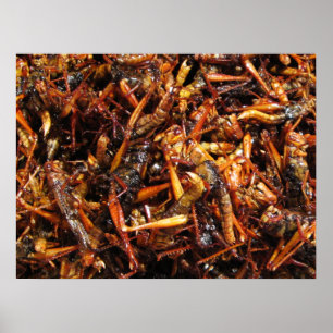 Asiatische Küche mit frittiertem Grasshopper (Takk Poster