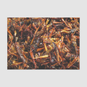 Asiatische Küche mit frittiertem Grasshopper (Takk Seidenpapier