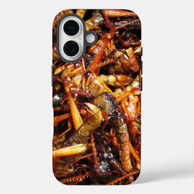 Asiatische Küche mit frittiertem Grasshopper (Takk title_seo2 (Rückseite)
