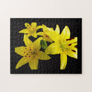Asiatische Lilien auf schwarz