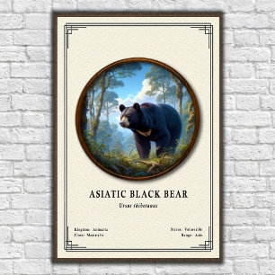 Asiatische Schwarzbären-Zoologie-Serie Poster