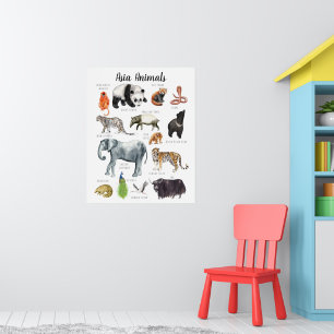 Asiatische Tiere   Bildung Lernen Klassenzimmer Poster