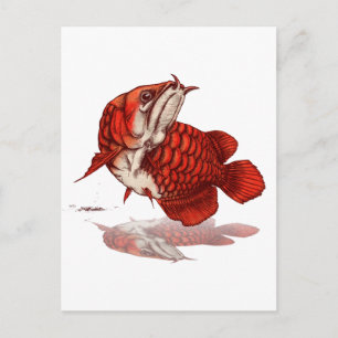 Asiatischer Amöan Postkarte