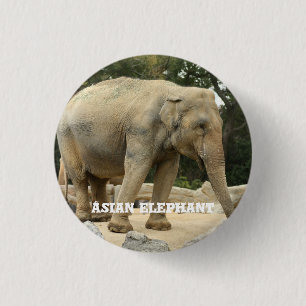 Asiatischer Elefant Button