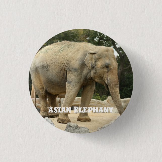 Asiatischer Elefant Button (Vorderseite)