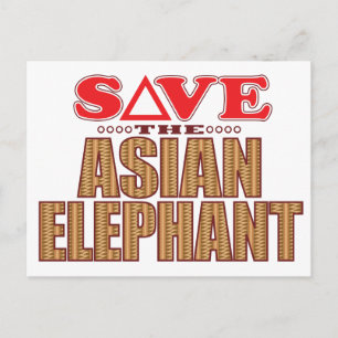 Asiatischer Elefant Gerettet Postkarte