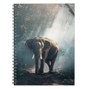 Asiatischer Elefant in einem sonnenbeleuchteten Wa Notizblock