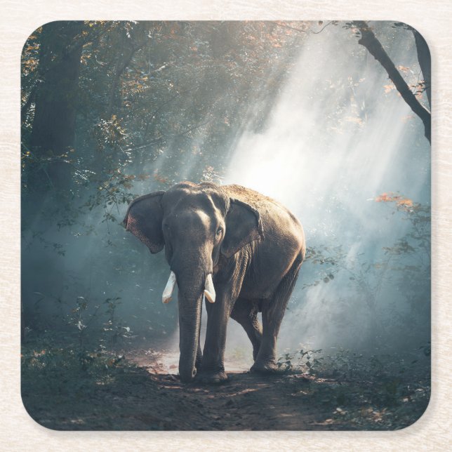 Asiatischer Elefant in einem sonnenbeleuchteten Wa Rechteckiger Pappuntersetzer (Vorderseite)