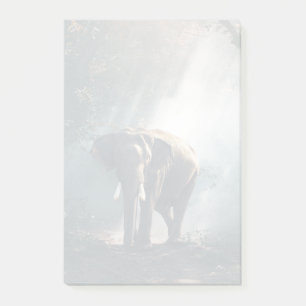 Asiatischer Elefant in einer sonnendurchfluteten W Post-it Klebezettel