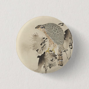 Asiatischer Habicht - 1890 Button