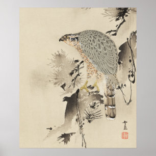 Asiatischer Habicht - 1890 Poster