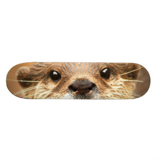 Asiatischer kleiner gekratzter Otter Skateboard