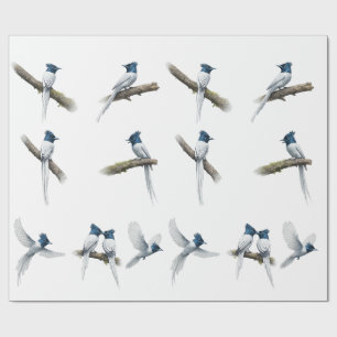 Asiatischer Paradiesfliegenschnäpper Blauköpfiger Geschenkpapier