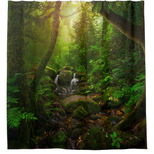 Asiatischer Regenwalddschungel, Boden, Amazon, Asi Duschvorhang (Vorderseite)