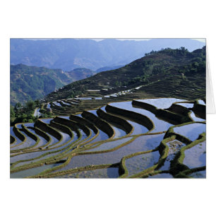 Asie, Chine, Yunnan, Yuanyang. Accidenté