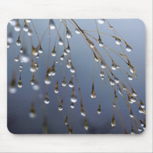Asien, China  Huansan, Dewdrops Mousepad