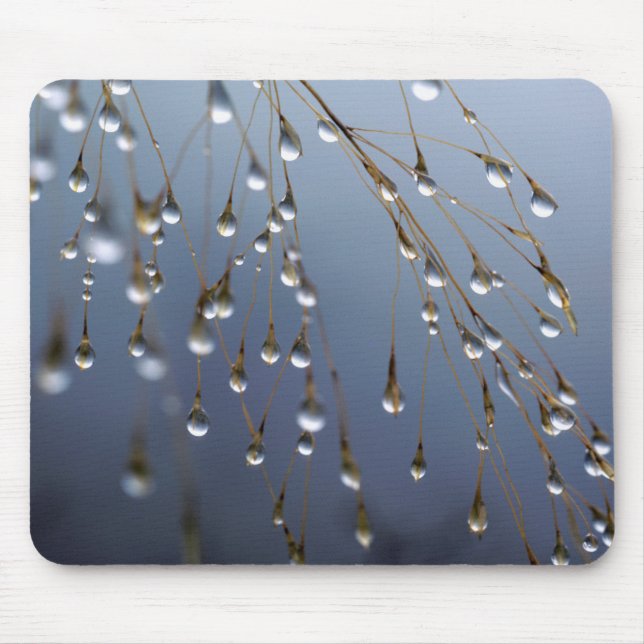 Asien, China| Huansan, Dewdrops Mousepad (Vorne)