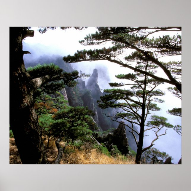 Asien, China, Huanshan. Der gelbe Berg Poster (Vorne)