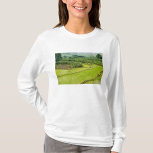 Asien, China, Provinz Yunnan, Honghe. Banane T-Shirt