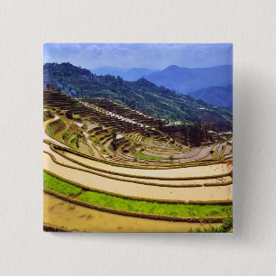 Asien, China, Provinz Yunnan, Kreis Yuanyang. Button
