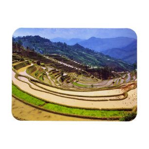 Asien, China, Provinz Yunnan, Kreis Yuanyang. Magnet
