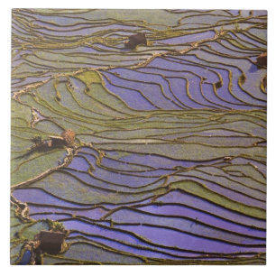 Asien, China, Provinz Yunnan, Yuanyang. Überschwem Fliese