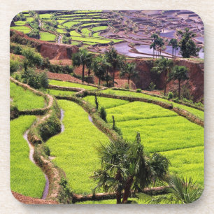Asien, China, Yunnan, Honghe.  Reisterrassen in de Getränkeuntersetzer