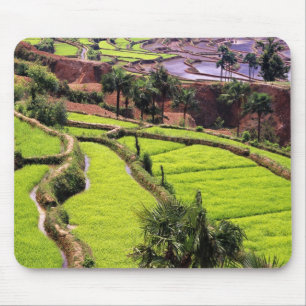 Asien, China, Yunnan, Honghe. Reisterrassen in de Mousepad