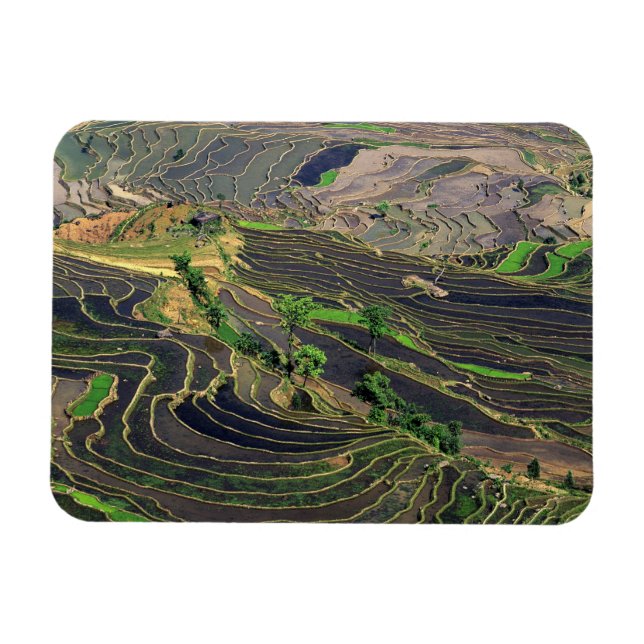 Asien, China, Yunnan, Honghe. Reisterrassen in der Magnet (Horizontal)