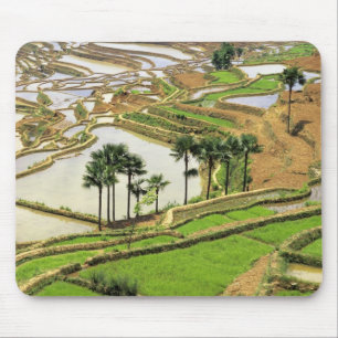 Asien, China, Yunnan, Honghe. Reisterrassen in der Mousepad