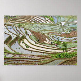 Asien, China, Yunnan, Jinping. Einheimische Yi Poster