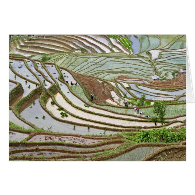 Asien, China, Yunnan, Jinping. Ui Yi (Vorderseite (Horizontal))