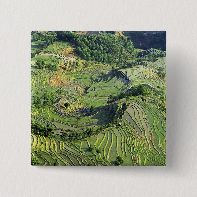 Asien, China, Yunnan, Yuanyang. Grünmuster Button (Vorderseite)