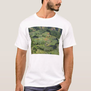 Asien, China, Yunnan, Yuanyang. Muster von grün 2 T-Shirt