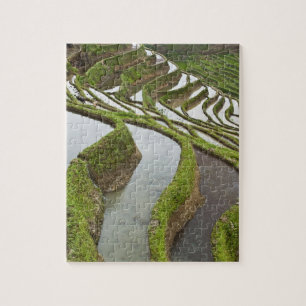 Asien, China, Yunnan, Yuanyang. Überschwemmter Rei