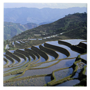 Asien, China, Yunnan, Yuanyang. Unwegsam Fliese