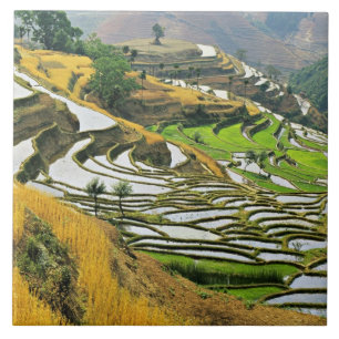 Asien, China, Yunnan, Yuxi-Präfektur; Yuanjiang. Fliese