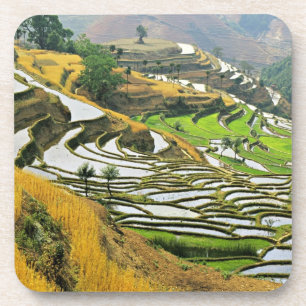 Asien, China, Yunnan, Yuxi-Präfektur; Yuanjiang. Getränkeuntersetzer