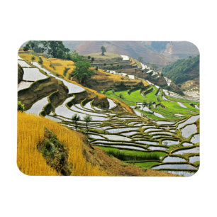 Asien, China, Yunnan, Yuxi-Präfektur; Yuanjiang. Magnet