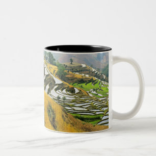 Asien, China, Yunnan, Yuxi-Präfektur; Yuanjiang. Zweifarbige Tasse