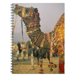 Asien, Indien, Pushkar. Kamel Shamu, Pushkar Notizblock