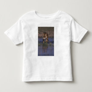 ASIEN, Indien Tiger beim Durchqueren des Wassers Kleinkind T-shirt